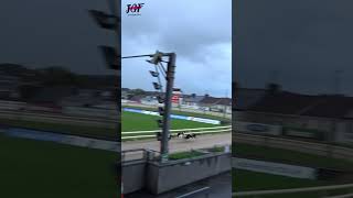 Irish Greyhound Racing 🥇🏆🍀
