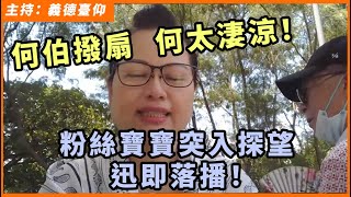 `何伯撥扇，何太淒涼！粉絲寶寶突入探望，迅即落播！