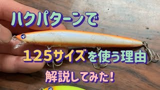 【シーバスのハクパターン】で１２５サイズを使う理由を解説してみた！　ハクパターンで大きいルアー