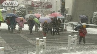 あと1、2センチ積もる恐れ　関東地方の雪（12/02/29）