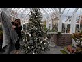 Setting Up & Decorating the Hartley Christmas Tree! 😍🎄🥰 // Garden Answer