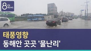 [G1뉴스]태풍영향..동해안 곳곳 '물난리'