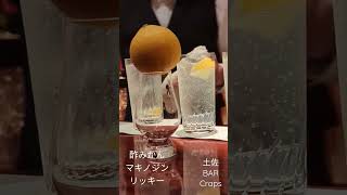 酢みかんマキノジンリッキー　土佐BAR　Craps