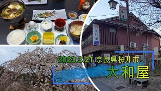 【奈良県桜井市】 『長谷寺参りのためだけには勿体ない、レトロながら贅沢にお値打ち宿』 2023.3.21 【大和屋】　（オマケ：長谷寺）