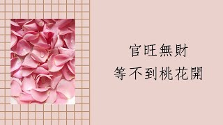 八字批命實例1047堂:八字官運旺卻一直等無桃花