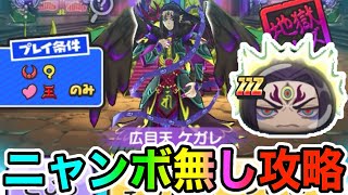 ぷにぷに「ニャンボキャラ無くても勝てるチャンスあり!!」広目天ケガレを特攻なし3パターンで倒してみた!!