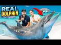 ডলফিনের সাথে সাঁতার কাটলাম | Swim With REAL DOLPHINS 🐬 | Rakib Hossain