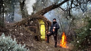 Building a Cozy Shelter Under a Fallen Tree: Secrets of Survival