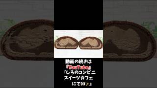 【コンビニスイーツ】ローソンスイーツ新商品『くちどけショコラクレープ』をレビュー！【コンビニスイーツ 新作】 #コンビニスイーツ #コンビニ #スイーツ