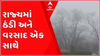 ગાંધીનગર: વરસાદ અને ઠંડીના કારણે બે ઋતુનો એક સાથે અનુભવ, જુઓ ગુજરાતી ન્યુઝ