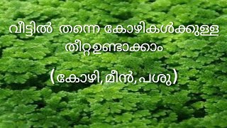 തീറ്റ ചിലവ് കുറയ്ക്കാൻ അസോളാ വളർത്താം / azolla