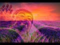 Raise Vibration 528hz Positive Energy Be Positive Minded Calm Amp Balanced Meditation Music