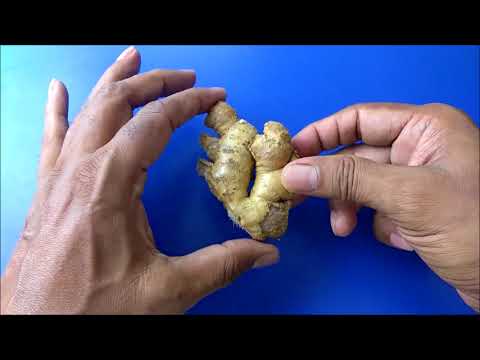 इरेक्टाइल डिस्फंक्शन का सर्वोत्तम उपाय | How to get rid of ED & PE इरेक्टाइल डिस्फंक्शन का सर्वोत्तम उपाय | How to get rid of ED & PE