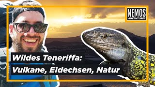 Teneriffa auf unbekannten Pfaden | Vulkane, Eidechsen und viel Natur