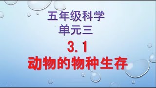 智阳5年级@29/1/2021 科学：单元三 动物的物种生存