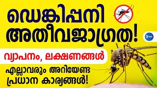 കേരളത്തിൽ അതീവജാഗ്രത!ഡെങ്കിപ്പനി വ്യാപിക്കുന്നു|എല്ലാവരും അറിയേണ്ട കാര്യം  Dengue fever in Kerala