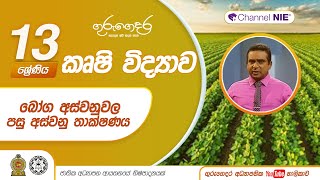 බෝග අස්වනුවල පසු අස්වනු තාක්ෂණය -  13 ශ්‍රේණිය (කෘෂි විද්‍යාව)