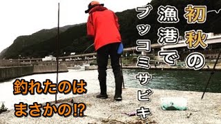 【新潟】秋の親不知漁港でサビキ釣り