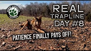**REAL WORKING TRAPLINE ~ DAY #8.......Patience Finally Pays Off!