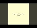 Fragments Twilight Silver