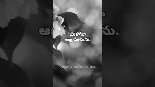 నీకు#ఆజ్ఞ#ఇచ్చాడు#అంటే# #నీవు#చేయు#పని#అంతటిలో#bible#youtubeshort#bible#