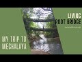 #meghalaya Living Roots Bridge: Can you do the hike? Know before you go