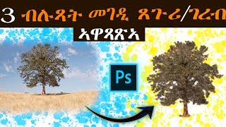 3 ብሉጻት መገዲ ጸጉሪ ካብ ድሕረ ባይታ ኣዋጻጽኣ / 3 best ways to cut out hair in Ps