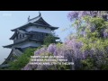 this wisteria flower tunnel in japan is the most magical place ever