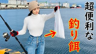 自己記録更新は超便利な釣りエサで釣れた‼️そして、さようなら。