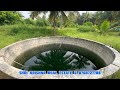 132 low budget coconut farm for sale. with farm house. kinathukadavu area