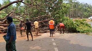 NH66 വികസനം, ഒരു നാടിൻറെ ഓർമ്മകൾ മായക്കാഴ്ചകൾ#irumbuchola