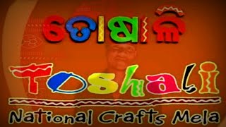 ଆସ ବୁଲିଯିବା ୧୭ତମ tosali ହସ୍ତଶିଳ୍ପ ମେଳା, Bhubaneswar #odiasha #badalodiavlogs