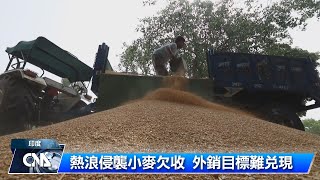 印度禁小麥出口 衝擊全球糧食供應｜中央社影音新聞