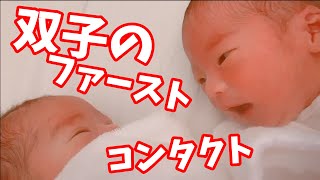 【フーフーバー】双子が初めてお互いの存在を認識するシーン　双子の出産レポ⑦！　＃141