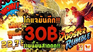 Rooster Rumble PG สล็อตไก่ชน ไก่ชนpg ไก่แจ้มันศึก!! สล็อตเว็บตรง