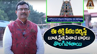 Special Story On Alampur Jogulamba Temple | Jogulamba Gadwal District | Dintakurthi Murali Krishna