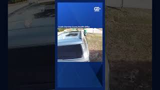 Charlotte County deputies seek information in dirt bike theft