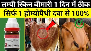 Lumpy Skin Disease (लम्पी स्किन रोग) IN CATTLE, BUFFALO AND HUMAN TREATMENT | Prevention \u0026 Treatment