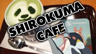 Shirokuma Cafe!!  ★ しろくまカフェ!!