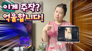 이게 주작?? 억울합니다!!  주작이 아닌 결정적 이유 공개!!