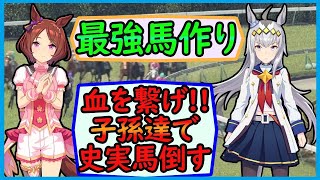 好きな馬を系統確立して最強馬を作る（成長覚醒の繁殖牝馬作り#3）【ウイポ10】