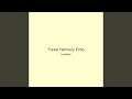 Forest Harmony Echo