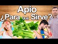 Apio Para Todo - Para Qué Sirve? - Beneficios Para Tu Salud Y Belleza