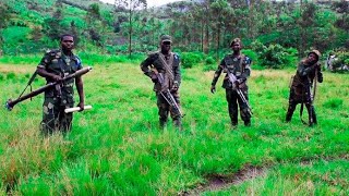 RDC - Afrontements FARDC-M23 à Kichanga : voici les grandes lignes !