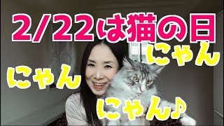 2.22（にゃんにゃんにゃん）猫の日！- Cat Day!