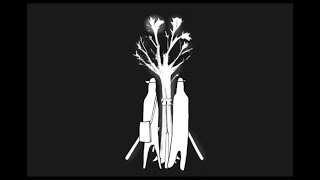 CSSSA 2021 final film- Life Cycle