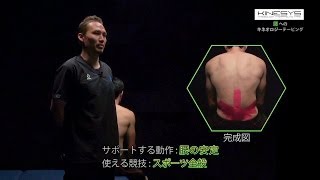 スポーツの現場で使える！キネシオロジーテープの貼り方　「腰」　【テーピング】