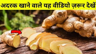 कच्चा अदरक खाने के फायदे और नुकसान | Ginger Benefits \u0026 Side Effect in Hindi | adhrak khane ke faayde