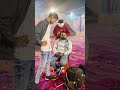 फोटोग्राफर और वीडियोग्राफर live funny