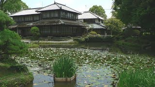 極上の日本庭園 熊本県八代市の松濱軒 Japanese garden best Syouhinken in Yatsushiro-shi, Kumamoto